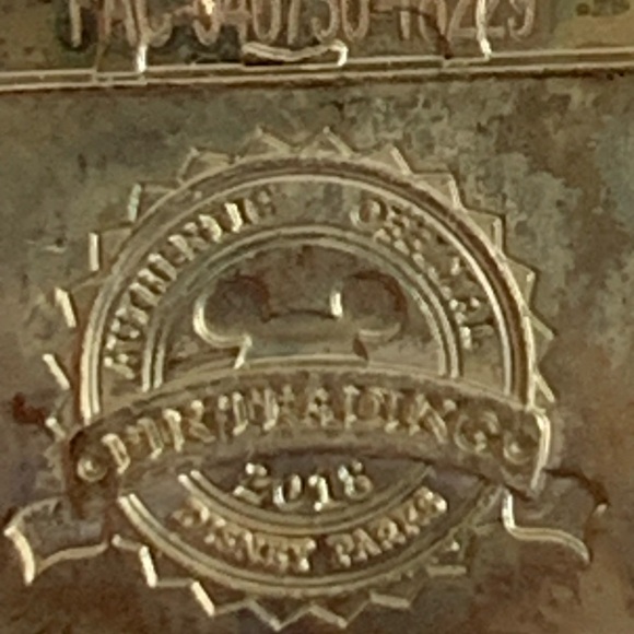 Disney VIP Tours - VIP lanyard medal - Picture 10 of 15